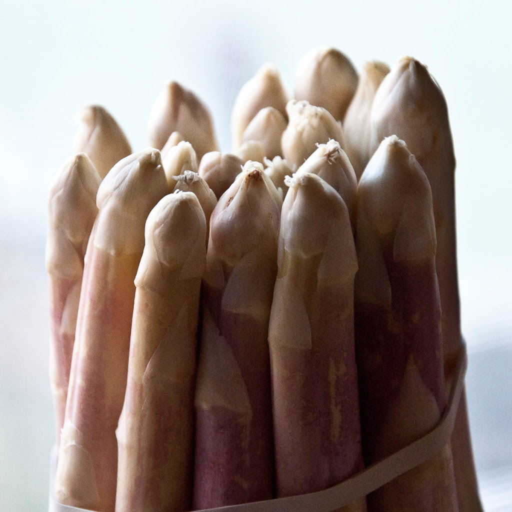 White asparagus - Vicenza, Italy - rossiwrites.com