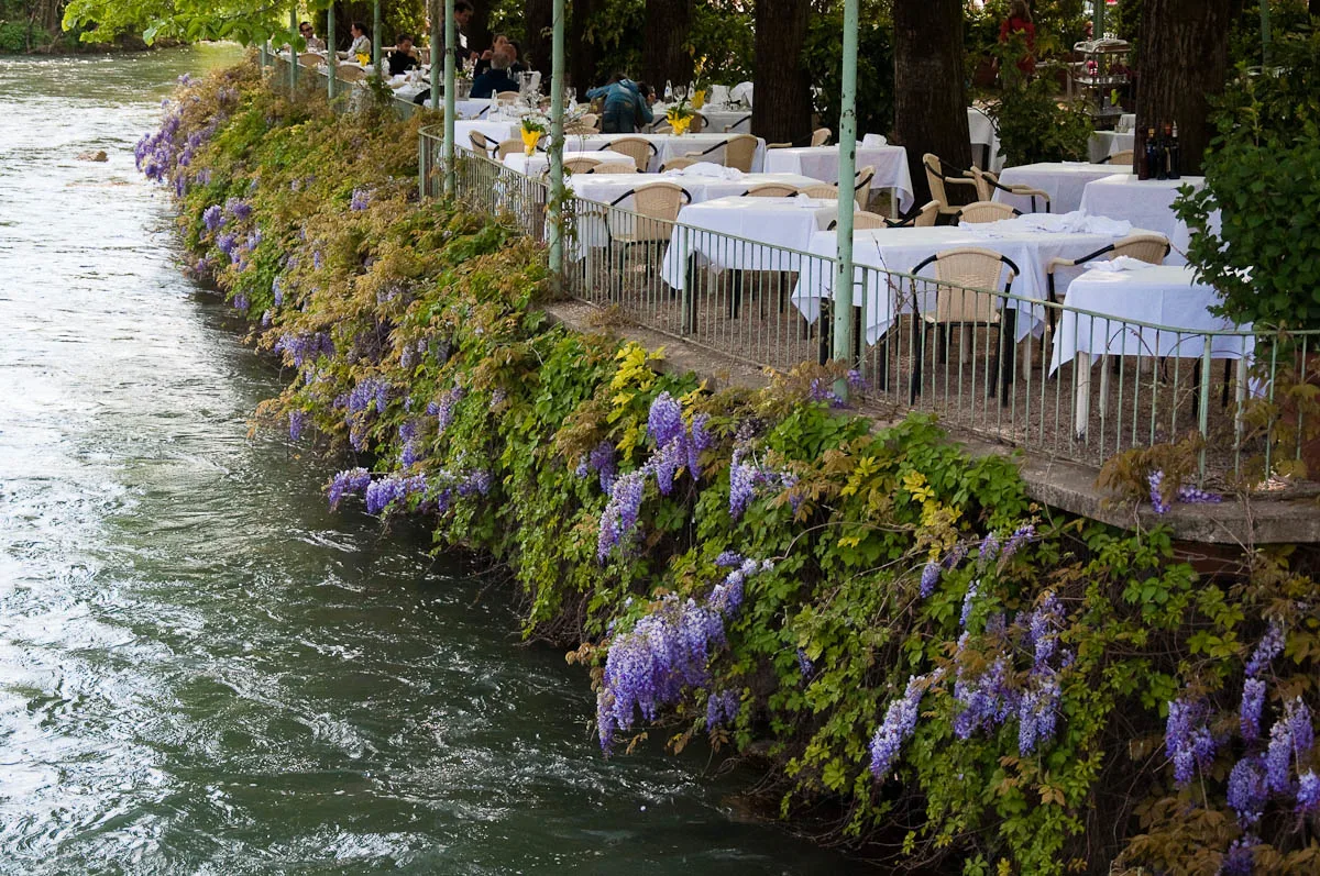 Wisteria draping a restaurant on water, Borghetto sul Mincio, Veneto, Italy