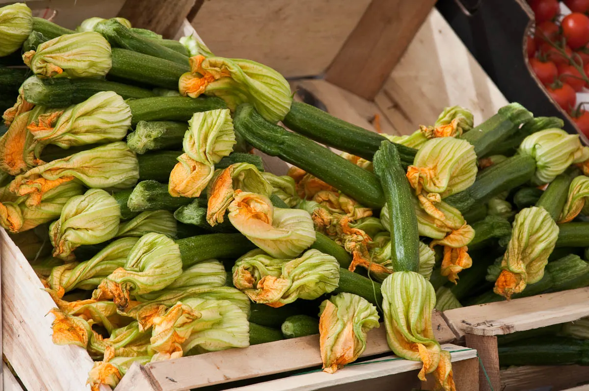 Courgettes, The Marketplace, Piazza delle Erbe, Padua, Italy - www.rossiwrites.com