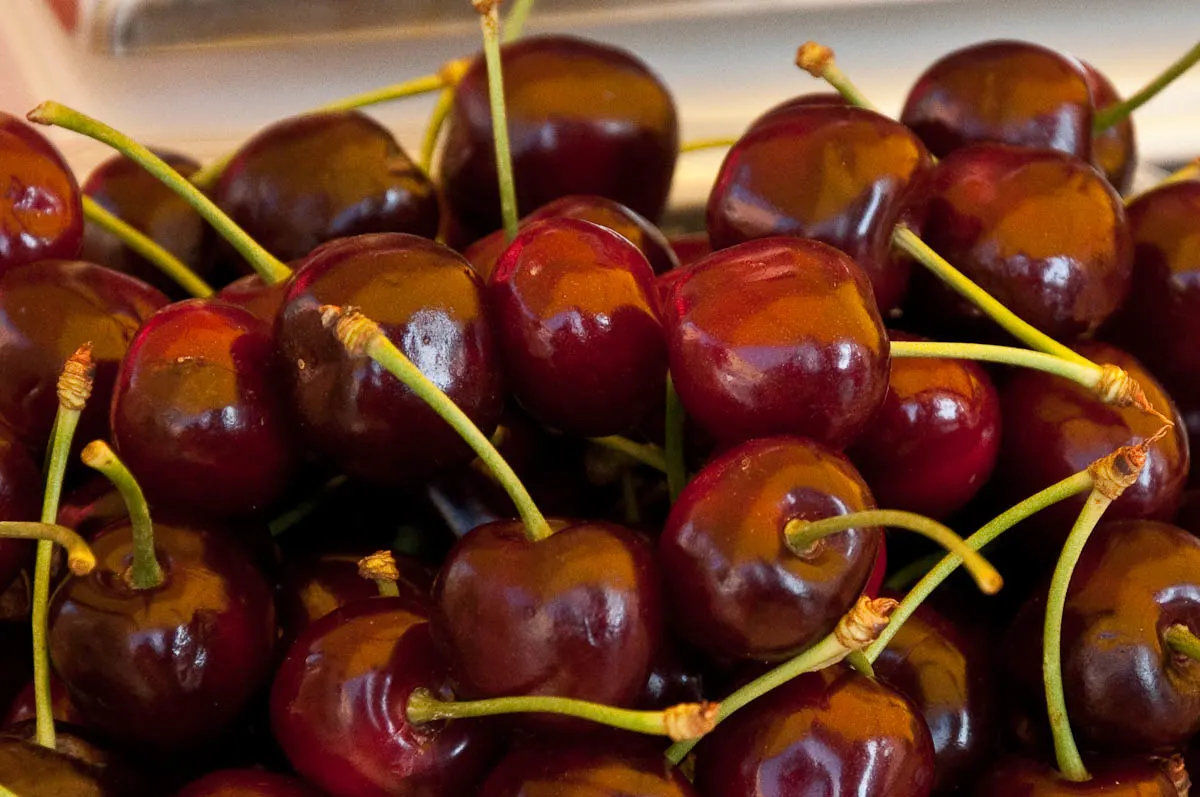 Cherries from Marostica, Veneto, Italy - www.rossiwrites.com