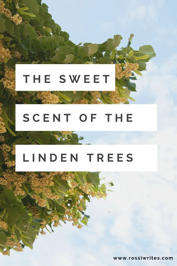 Pin me - The Sweet Scent of the Linden Trees - www.rossiwrites.com