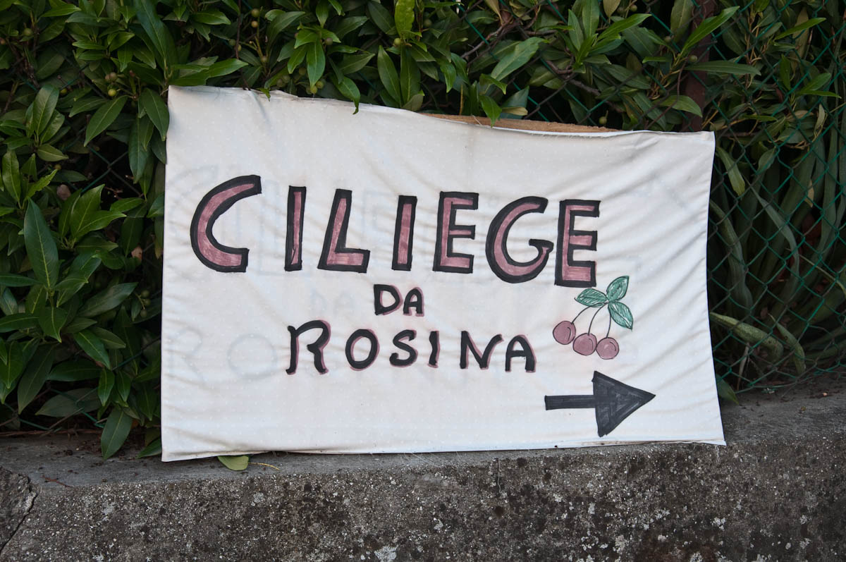 Sign of a local cherry seller, Festa dea Siaresa, Castegnero, Veneto, Italy - www.rossiwrites.com
