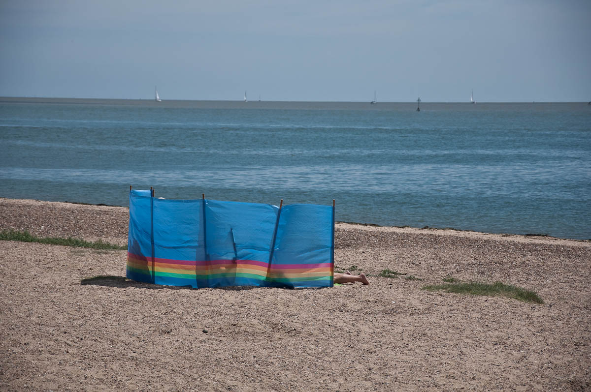 A windbreak, Mersea Island, Essex, England - www.rossiwrites.com