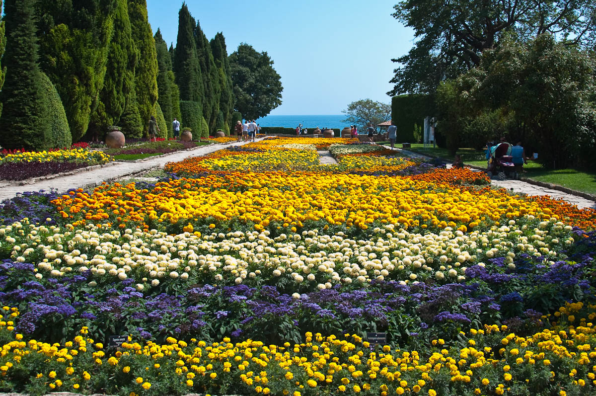 Colourful flower stripes, Botanical Garden, Balchik, Bulgaria - www.rossiwrites.com