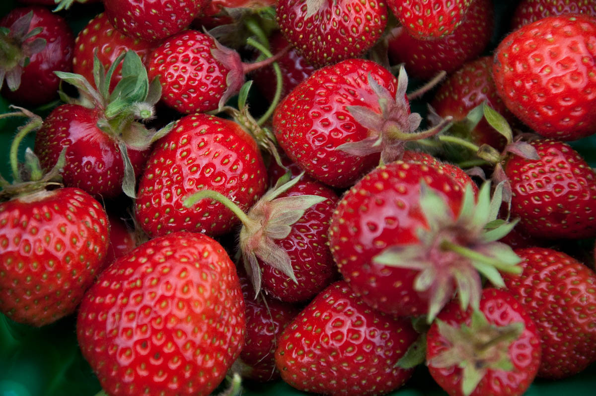 Freshly picked strawberries, England - www.rossiwrites.com
