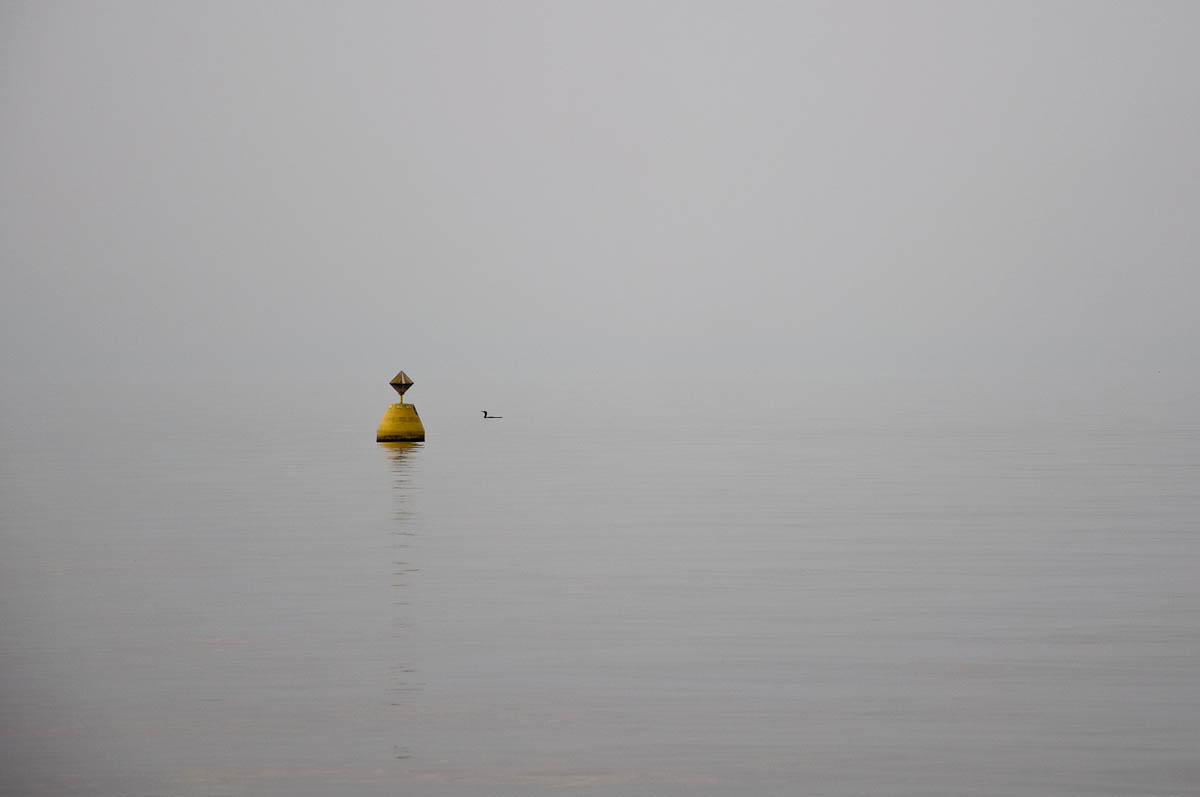 A bouy and a duck - Lazise, Lake Garda, Italy - www.rossiwrites.com