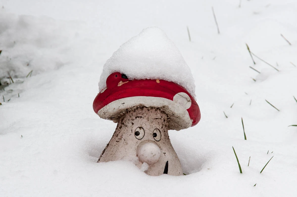 A mushroom garden ornament in the snow - Parco Querini, Vicenza, Veneto, Italy - www.rossiwrites.com