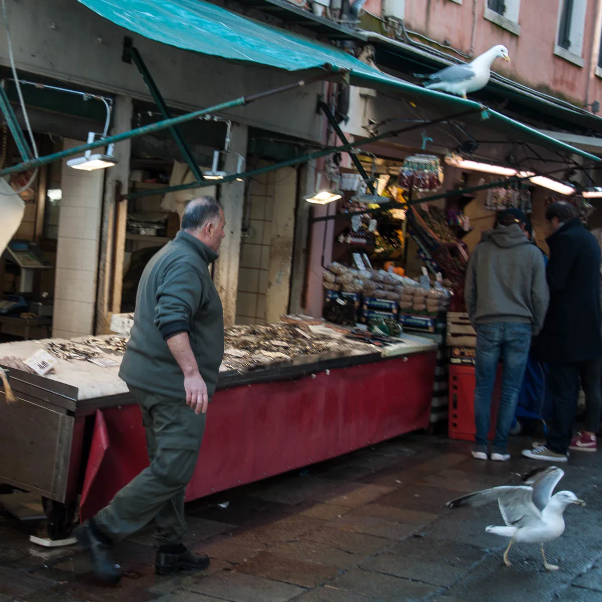A fishmonger chases a seagull away from his stall - Rialto Fish Market, Venice, Italy - www.rossiwrites.com