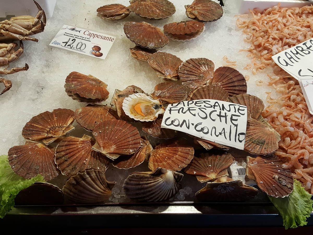 Scallops - Rialto Fish Market, Venice, Italy - www.rossiwrites.com