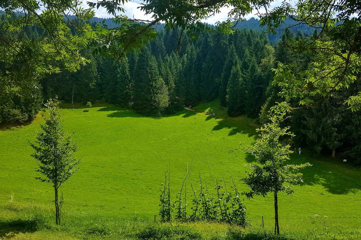 The lush green of the hiking trail - The Gnomes' Village, Asiago, Italy - www.rossiwrites.com