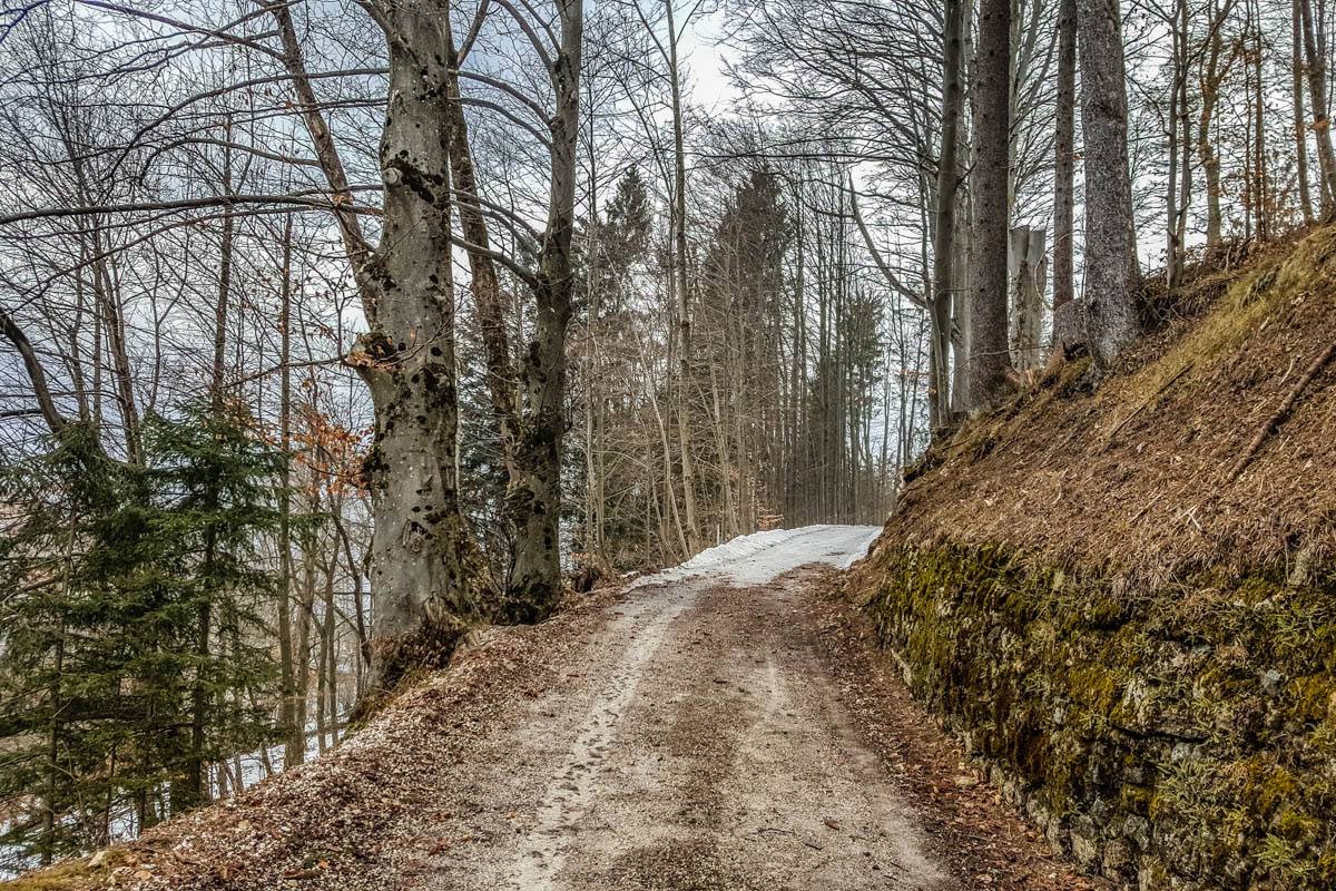 The path leading to the Monte Ricco Fort - Pieve di Cadore, Veneto, Italy - www.rossiwrites.com