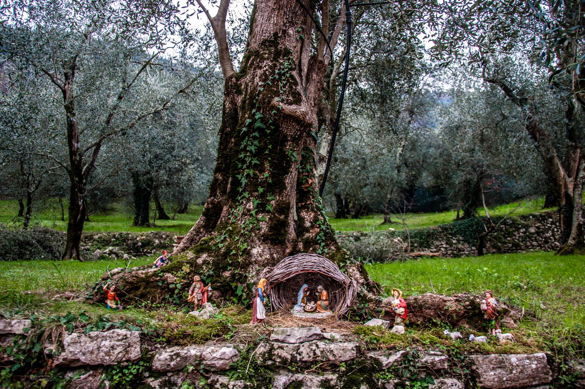 Nativity Scene at the base of a tree - Campo di Brenzone - Lake Garda, Italy - www.rossiwrites.com