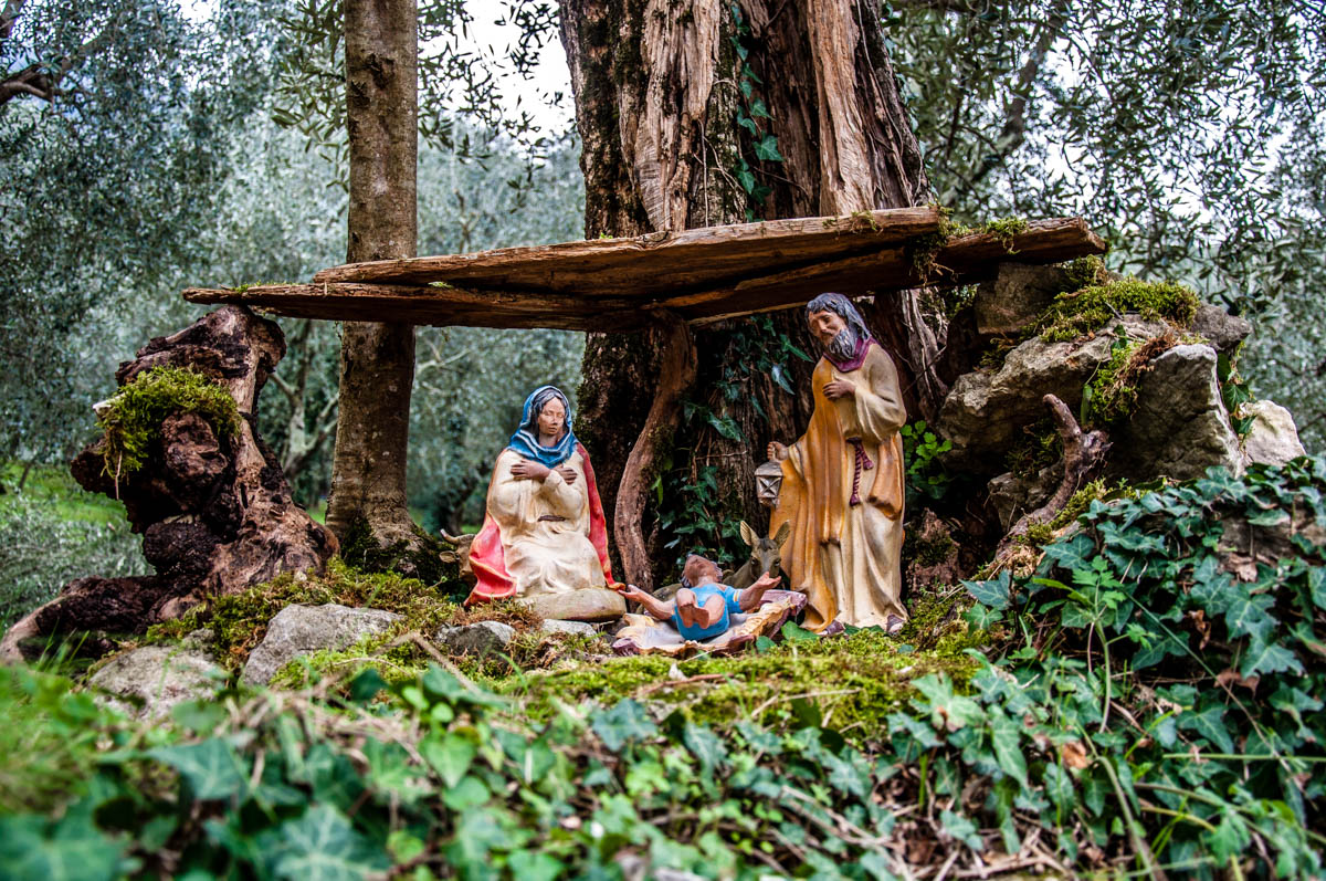 Nativity Scene in the roots of a tree - Campo di Brenzone, Lake Garda, Italy - www.rossiwrites.com
