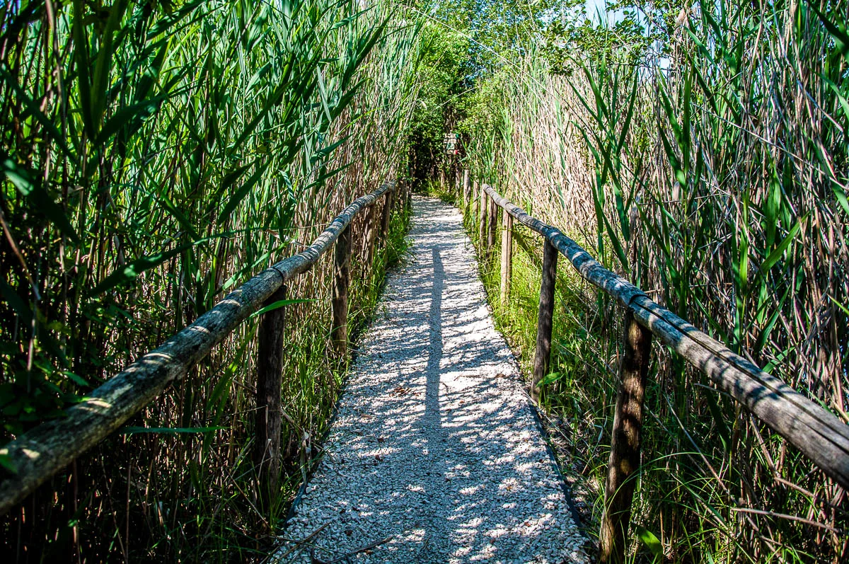 The path leading inside the nature and wildlife area - Oasi Stagni di Casale, Vicenza, Italy - www.rossiwrites.com