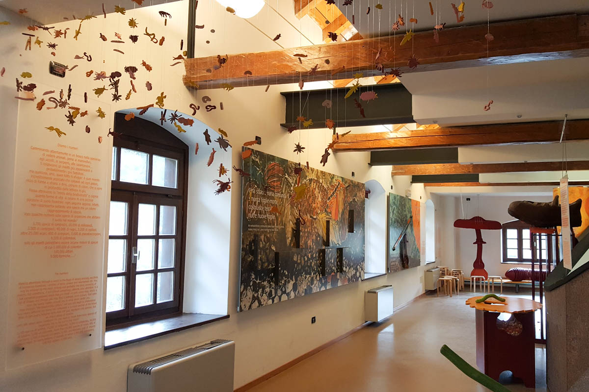 Inside the Visitors' Centre - Paneveggio - The Violins' Forest - Dolomites, Trentino, Italy - rossiwrites.com