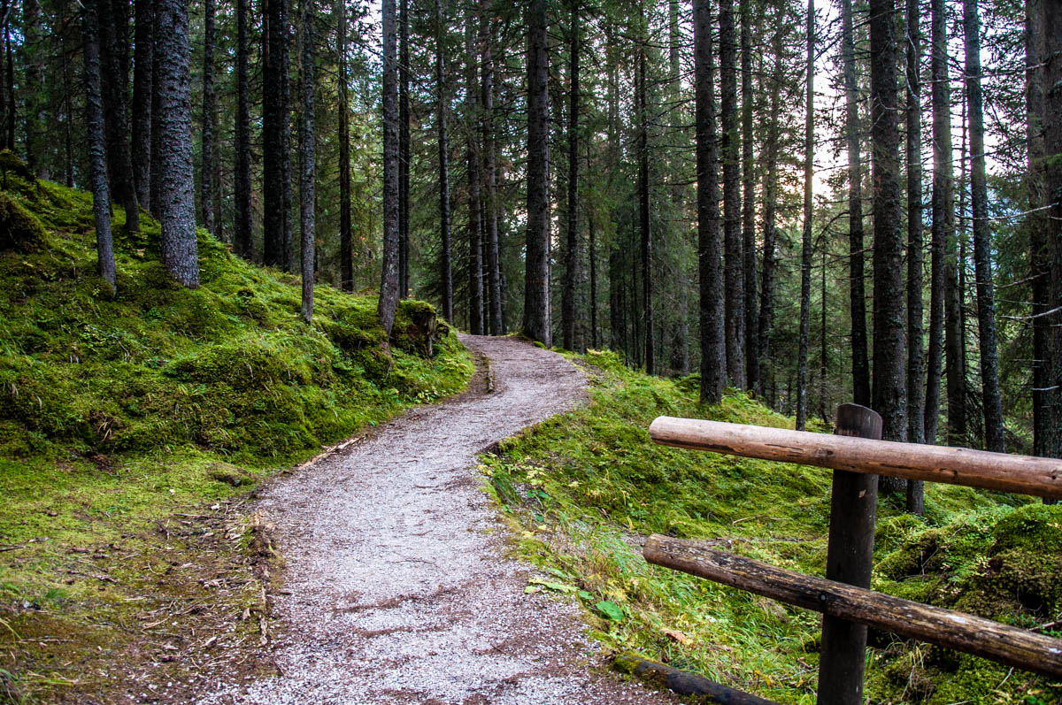 The Marcio' Trail in Paneveggio - The Violins' Forest - Dolomites, Trentino, Italy - rossiwrites.com