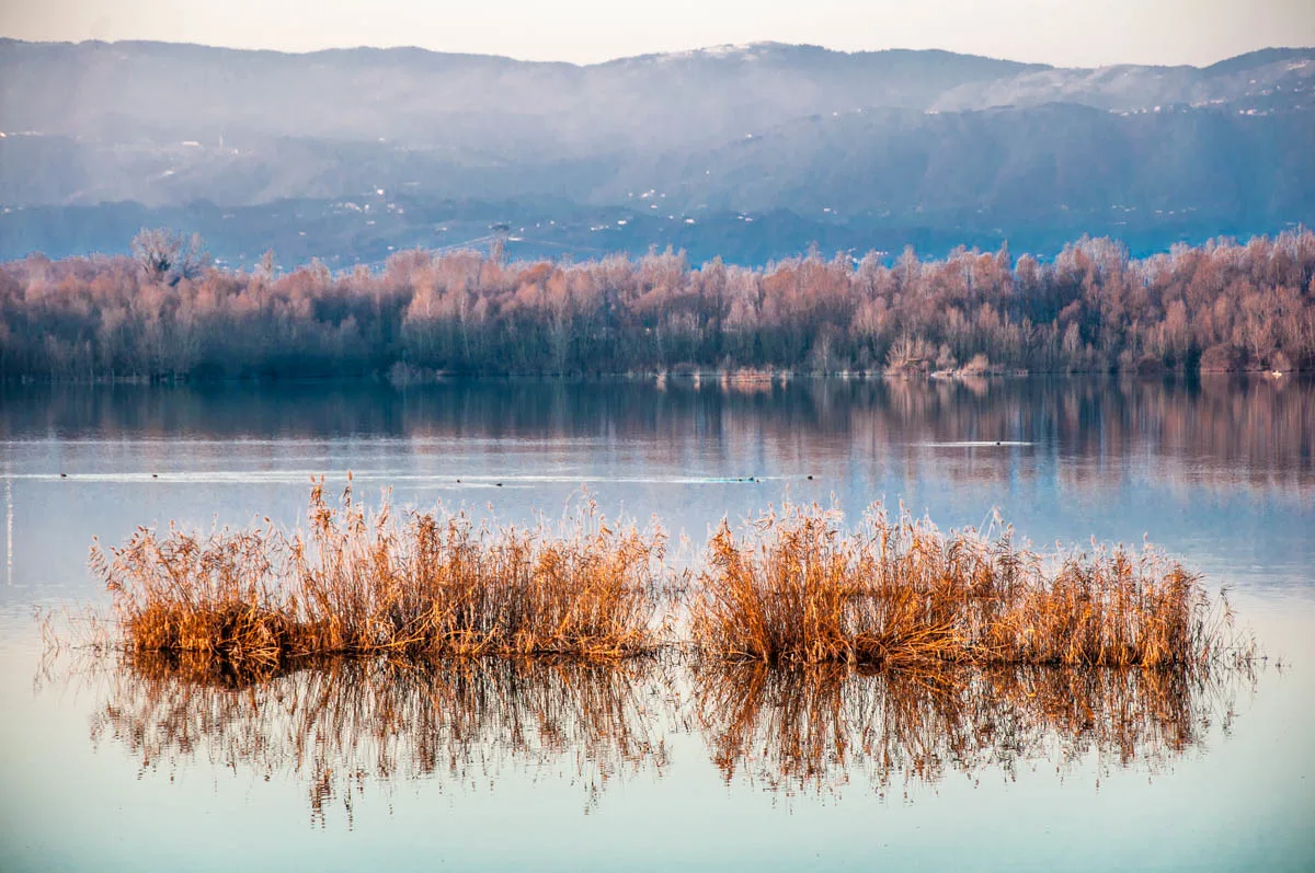 View of Lake Camazzole - Province of Padua, Veneto, Italy - rossiwrites.com