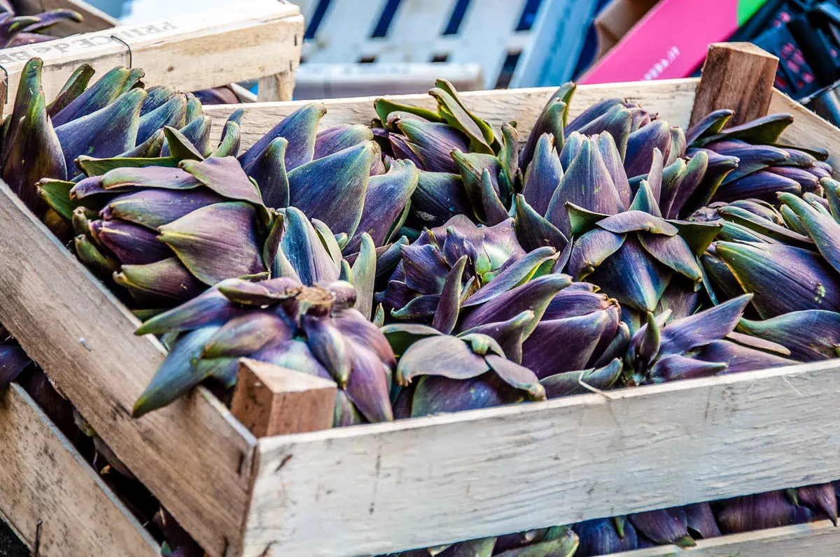 Purple artichokes from the island of Sant'Erasmo - Venice, Italy - rossiwrites.com