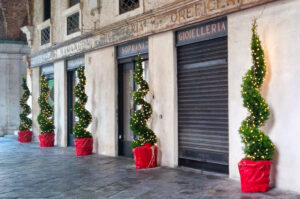 Christmas decorative trees placed by a historical jewellery shop in the Basilica Palladiana - Vicenza, Italy - rossiwrites.com