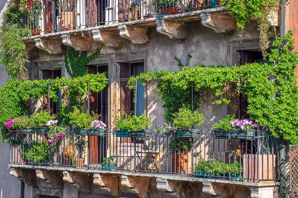 A balcony garden idea with potted and creeper plants - Vicenza, Italy - rossiwrites.com