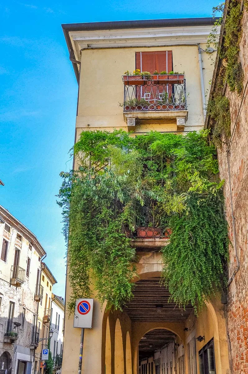A sumptuous green garden in a small balcony - Vicenza, Italy - rossiwrites.com