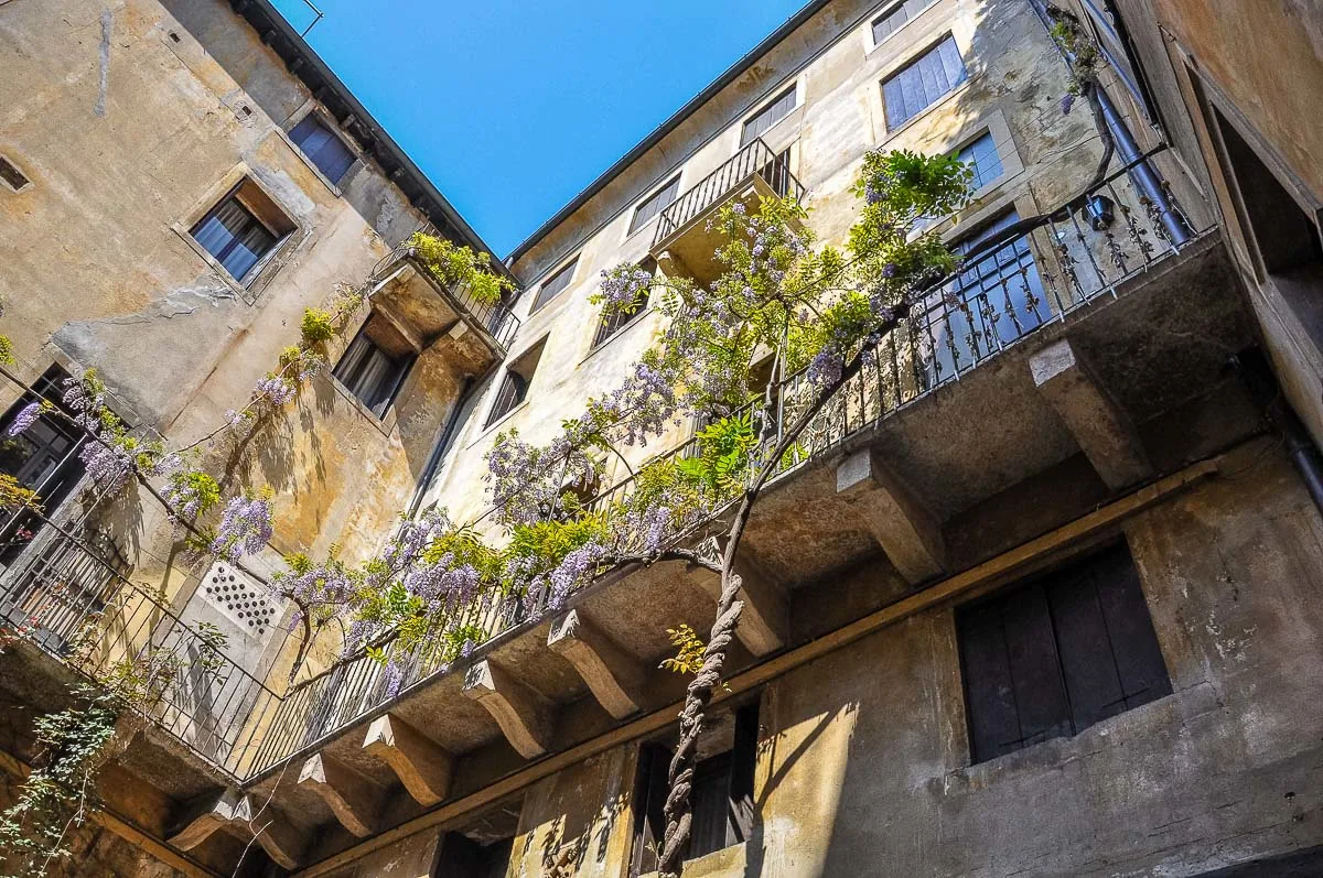 An Italian balcony enveloped by a flowering wisteria - Vicenza, Italy - rossiwrites.com