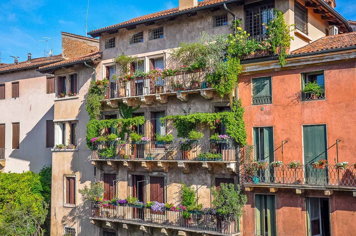 Italian balconies with small gardens and creeper plants - Vicenza, Italy - rossiwrites.com