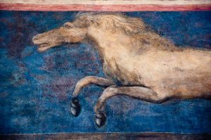 Frescoed horse on the wall of the Great hall of Palazzo della Ragione , Padua, Italy - www.rossiwrites.com