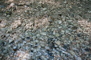 Clear water over pebbles, Parco delle Cascate, Province of Verona, Italy - www.rossiwrites.com