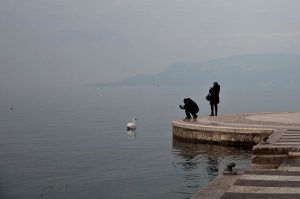 Photographing the swans - Lazise, Lake Garda, Italy - www.rossiwrites.com