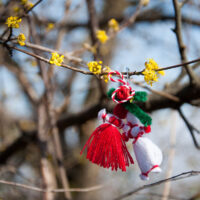 A Bulgarian martenitsa hanging from a bush in bloom - Colli Berici, Vicenza, Italy - www.rossiwrites.com