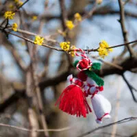 A Bulgarian martenitsa hanging from a bush in bloom - Colli Berici, Vicenza, Italy - www.rossiwrites.com