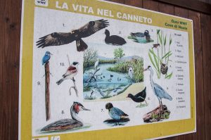 A sign showing the birds which can be seen in the park - Oasi WWF, Cave di Noale, Veneto, Italy - www.rossiwrites.com