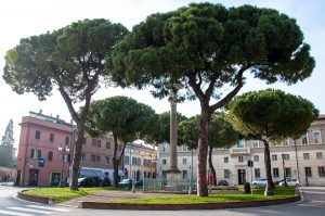 A small square with stone pines - Ravenna, Emilia Romagna, Italy - www.rossiwrites.com