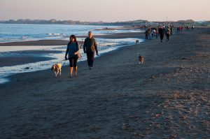 Dog walkers at the Sottomarina beach at sunset - Chioggia, Veneto, Italy - www.rossiwrites.com