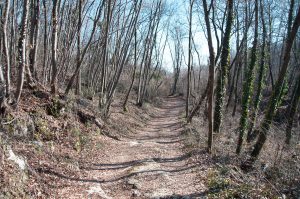 The hiking trail - Colli Berici, Vicenza, Italy - www.rossiwrites.com