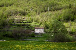 A dandelion meadow, terraced grounds and a house - Laghi, Veneto, Italy - www.rossiwrites.com