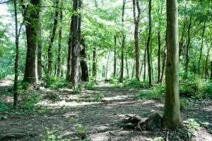 Parco Querini - Vicenza, Veneto, Italy - www.rossiwrites.com