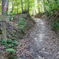 The hiking path leading to the former Olivetani monastery on Monte Venda - Euganean Hills, Veneto, Italy - www.rossiwrites.com