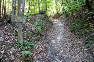 The hiking path leading to the former Olivetani monastery on Monte Venda - Euganean Hills, Veneto, Italy - www.rossiwrites.com