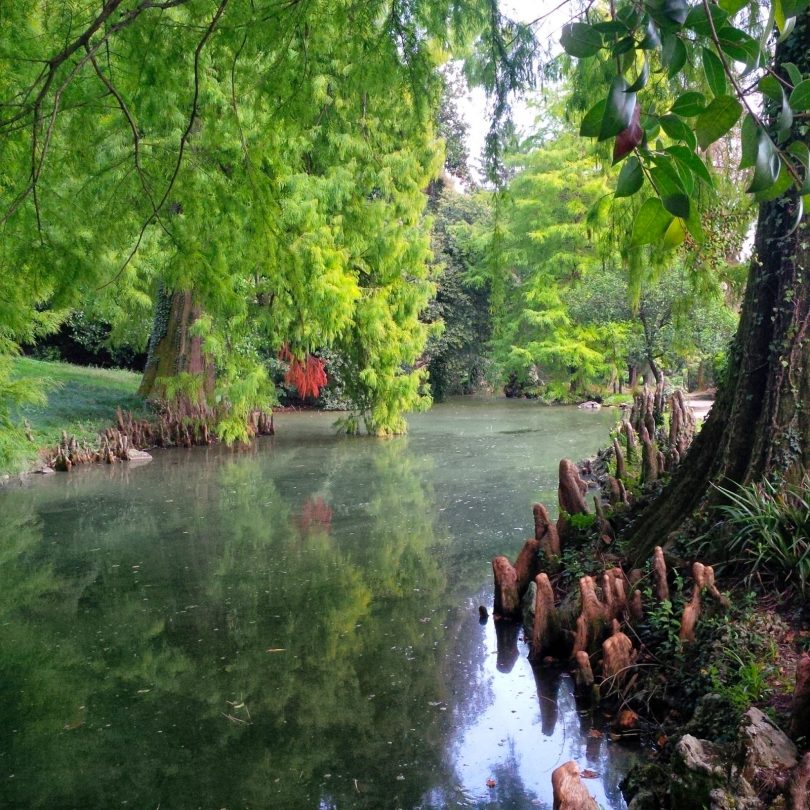 9 Gardens and Parks in to Enjoy This Season