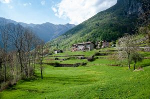 The terraced land with houses - Laghi, Veneto, Italy - www.rossiwrites.com