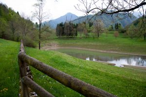 The wooden handrails with the Pre-Alps - Laghi, Veneto, Italy - www.rossiwrites.com