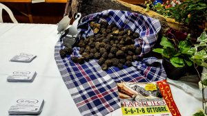 Fresh black truffles - Lumignano Truffle Festival - Veneto, Italy - www.rossiwrites.com