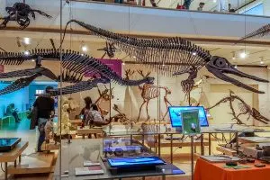 MUSE - Museum of Science, Trento - Trentino, Italy - www.rossiwrites.com