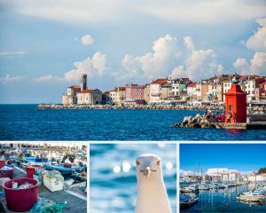 5 Things to Do in Piran, Slovenia If You Only Have Half a Day - www.rossiwrites.com