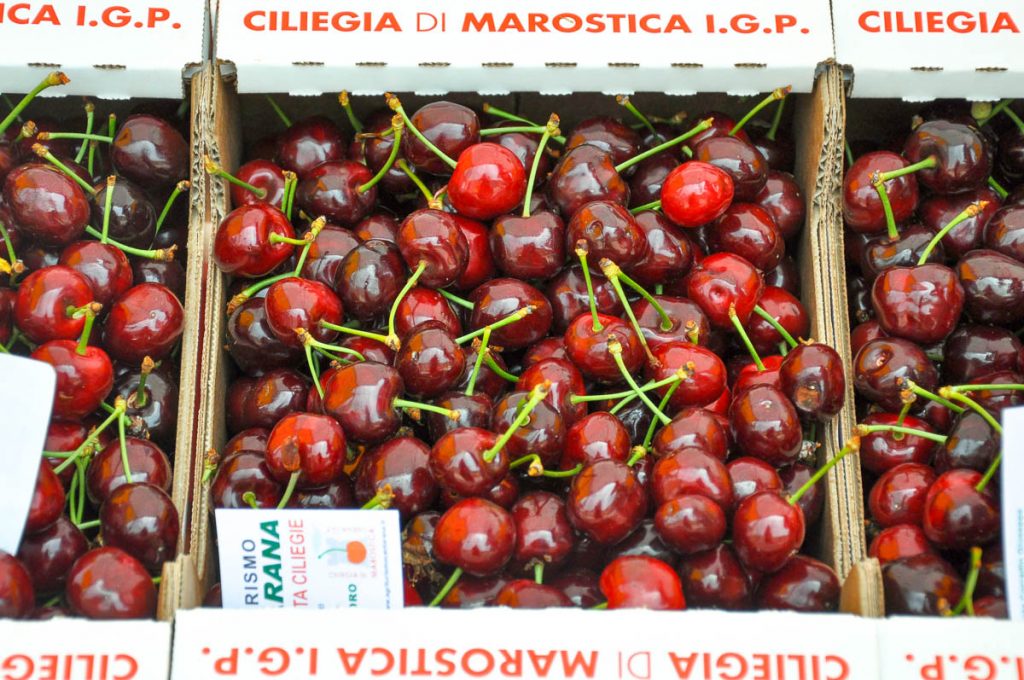 Marostica Cherries - Marostica, Veneto, Italy - www.rossiwrites.com