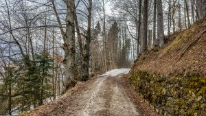 The path leading to Monte Ricco Fort - Pieve di Cadore, Veneto, Italy - rossiwrites.com