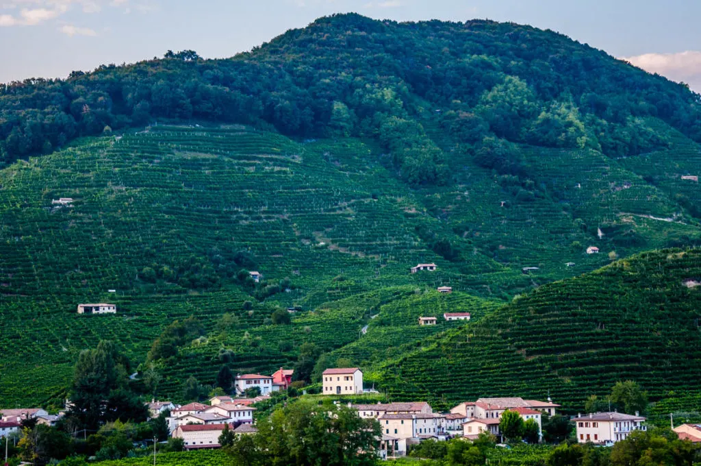 The Prosecco Hills between Conegliano and Valdobbiadene - Veneto, Italy - rossiwrites.com