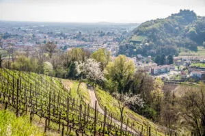 Hiking through the hills around Marostica, Veneto, Italy - www.rossiwrites.com